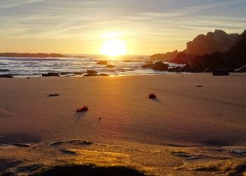 Las mejores playas cerca de Lisboa