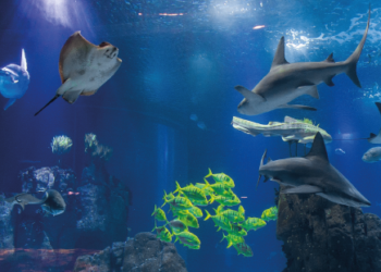 Oceanario de Lisboa en el Parque de las Naciones