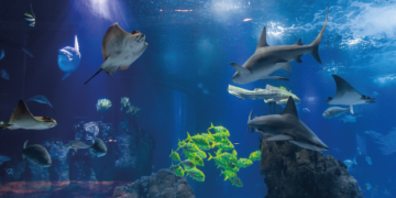 Oceanario de Lisboa en el Parque de las Naciones