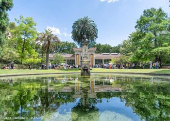 Real Jardín Botánico de Madrid